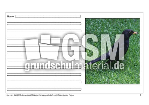 Amsel-eigene-Texte-3.pdf